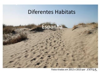 Diferentes Habitats
Espanha
Fotos tiradas em 2012 e 2013 por IMFGR
 