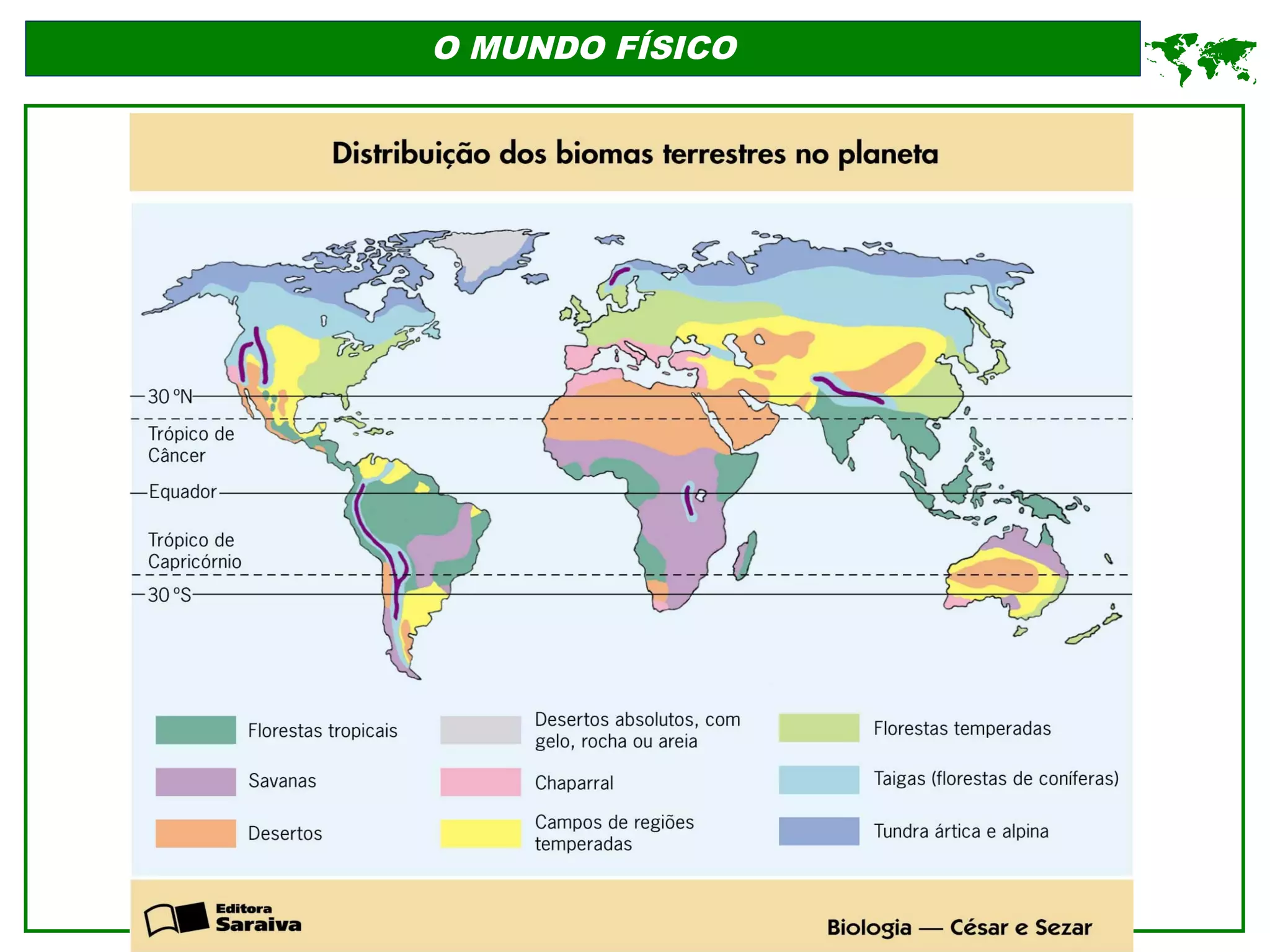 O MUNDO FÍSICO
