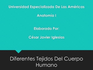 Universidad Especializada De Las Américas
Anatomía I
Elaborado Por:
César Javier Iglesias
Diferentes Tejidos Del Cuerpo
Humano
 