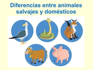 Diferencias entre animales salvajes y domésticos 