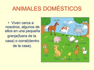 ANIMALES DOMÉSTICOS <ul><li>Viven cerca a nosotros, algunos de ellos en una pequeña </li></ul><ul><li>granja(fuera de la  ...