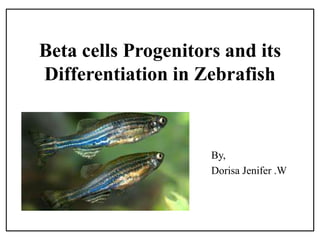 Beta cells Progenitors and its
Differentiation in Zebrafish
By,
Dorisa Jenifer .W
 