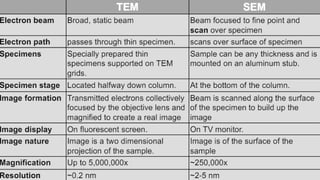Difference between  Transmission electron microscope and Scanning electron microscope.pptx