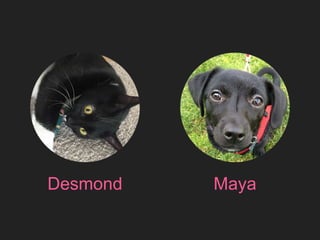 Motion Detecting Web Apps With Javascript | PPTX