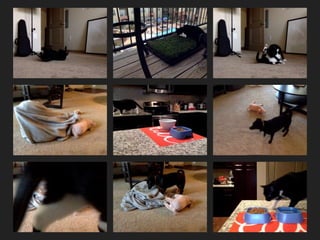 Motion Detecting Web Apps With Javascript | PPTX