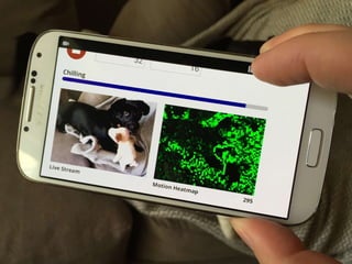 Motion Detecting Web Apps With Javascript | PPTX