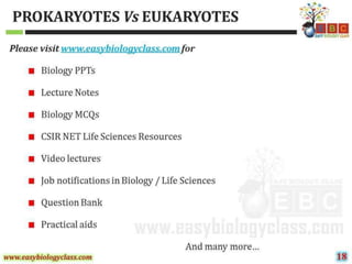 Difference between-prokaryotic-and-eukaryotic-transcription-ppt-and-pdf