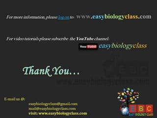 Difference between-prokaryotic-and-eukaryotic-transcription-ppt-and-pdf