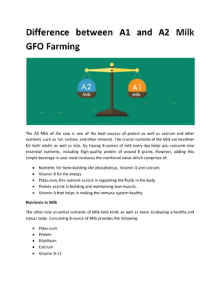 Difference between A1 and A2 Milk
GFO Farming
The A2 Milk of the cow is one of the best sources of protein as well as calcium and other
nutrients such as fat, lactose, and other minerals. The crucial nutrients of the Milk are healthier
for both adults as well as kids. So, having 8-ounces of milk every day helps you consume nine
essential nutrients, including high-quality protein of around 8 grams. However, adding this
simple beverage in your meal increases the nutritional value which comprises of:
 Nutrients for bone-building like phosphorous, Vitamin D and calcium.
 Vitamin B for the energy
 Potassium, this nutrient assists in regulating the fluids in the body
 Protein assists in building and maintaining lean muscle.
 Vitamin A that helps in making the immune system healthy
Nutrients in Milk
The other nine essential nutrients of Milk help kinds as well as teens to develop a healthy and
robust body. Consuming 8-ounce of Milk provides the following:
 Potassium
 Protein
 Riboflavin
 Calcium
 Vitamin B-12
 
