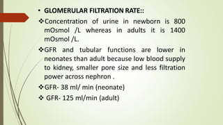 • GLOMERULAR FILTRATION RATE::
mOsmol /L whereas in adults it is
Concentration of urine in newborn is 800
1400
mOsmol /L.
GFR and tubular functions are lower in
neonates than adult because low blood supply
to kidney, smaller pore size and less filtration
power across nephron .
GFR- 38 ml/ min (neonate)
 GFR- 125 ml/min (adult)
 