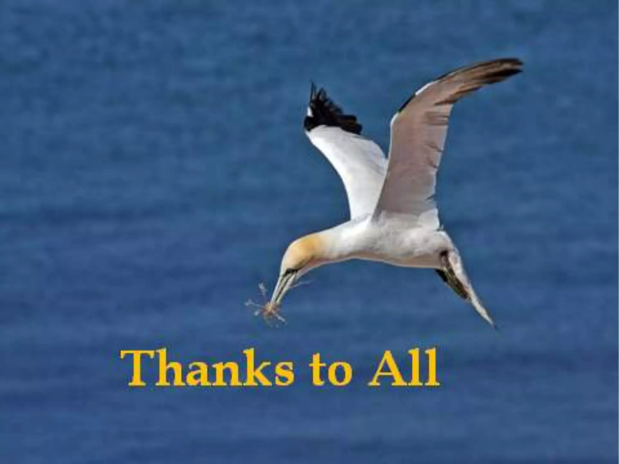 Difference between an Ion and a Radical