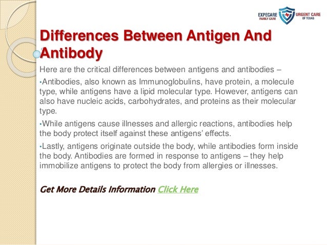 Difference Between Antigen and Antibody.pptx