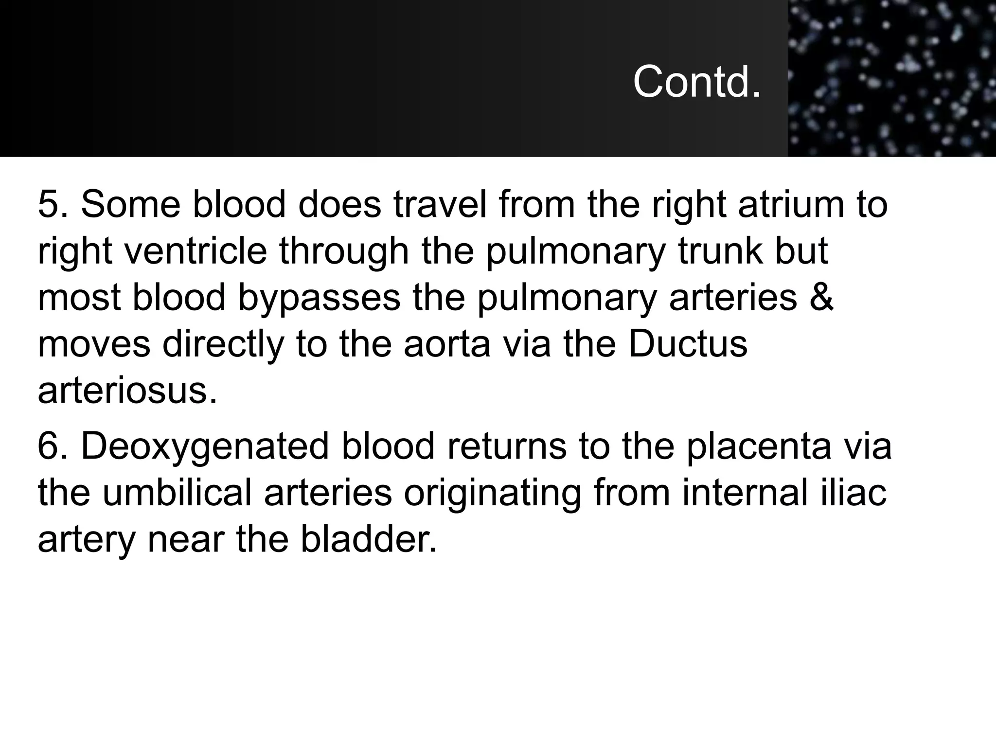 Contd.
5. Some blood does travel from the right atrium to
right ventricle through the pulmonary trunk but
most blood bypasses the pulmonary arteries &
moves directly to the aorta via the Ductus
arteriosus.
6. Deoxygenated blood returns to the placenta via
the umbilical arteries originating from internal iliac
artery near the bladder.
 