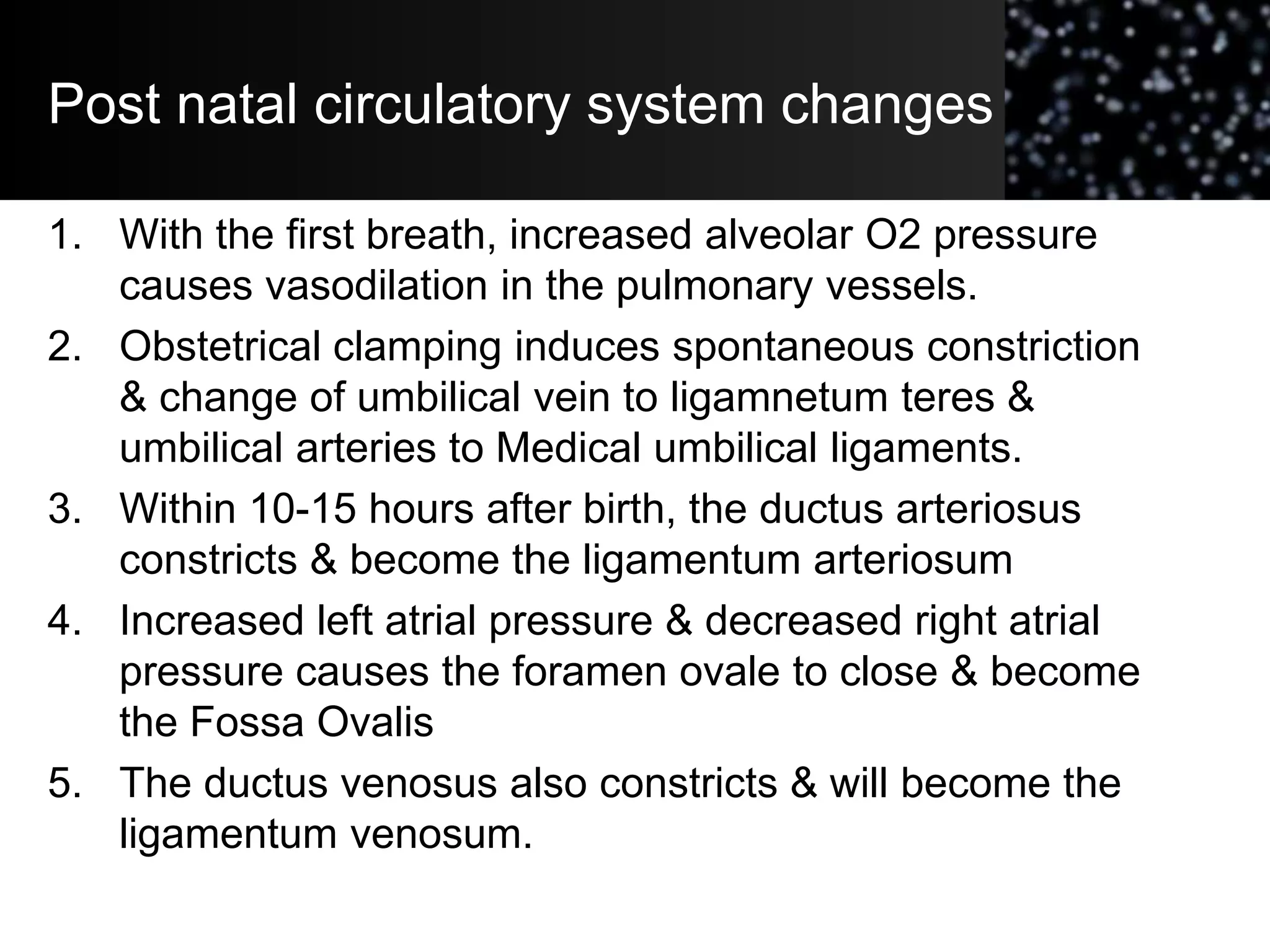 Post natal circulatory system changes
1. With the first breath, increased alveolar O2 pressure
causes vasodilation in the pulmonary vessels.
2. Obstetrical clamping induces spontaneous constriction
& change of umbilical vein to ligamnetum teres &
umbilical arteries to Medical umbilical ligaments.
3. Within 10-15 hours after birth, the ductus arteriosus
constricts & become the ligamentum arteriosum
4. Increased left atrial pressure & decreased right atrial
pressure causes the foramen ovale to close & become
the Fossa Ovalis
5. The ductus venosus also constricts & will become the
ligamentum venosum.
 