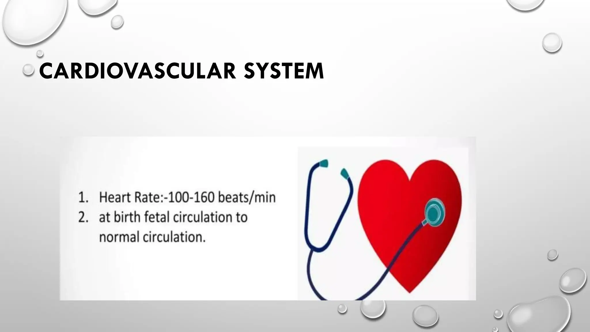 CARDIOVASCULAR SYSTEM