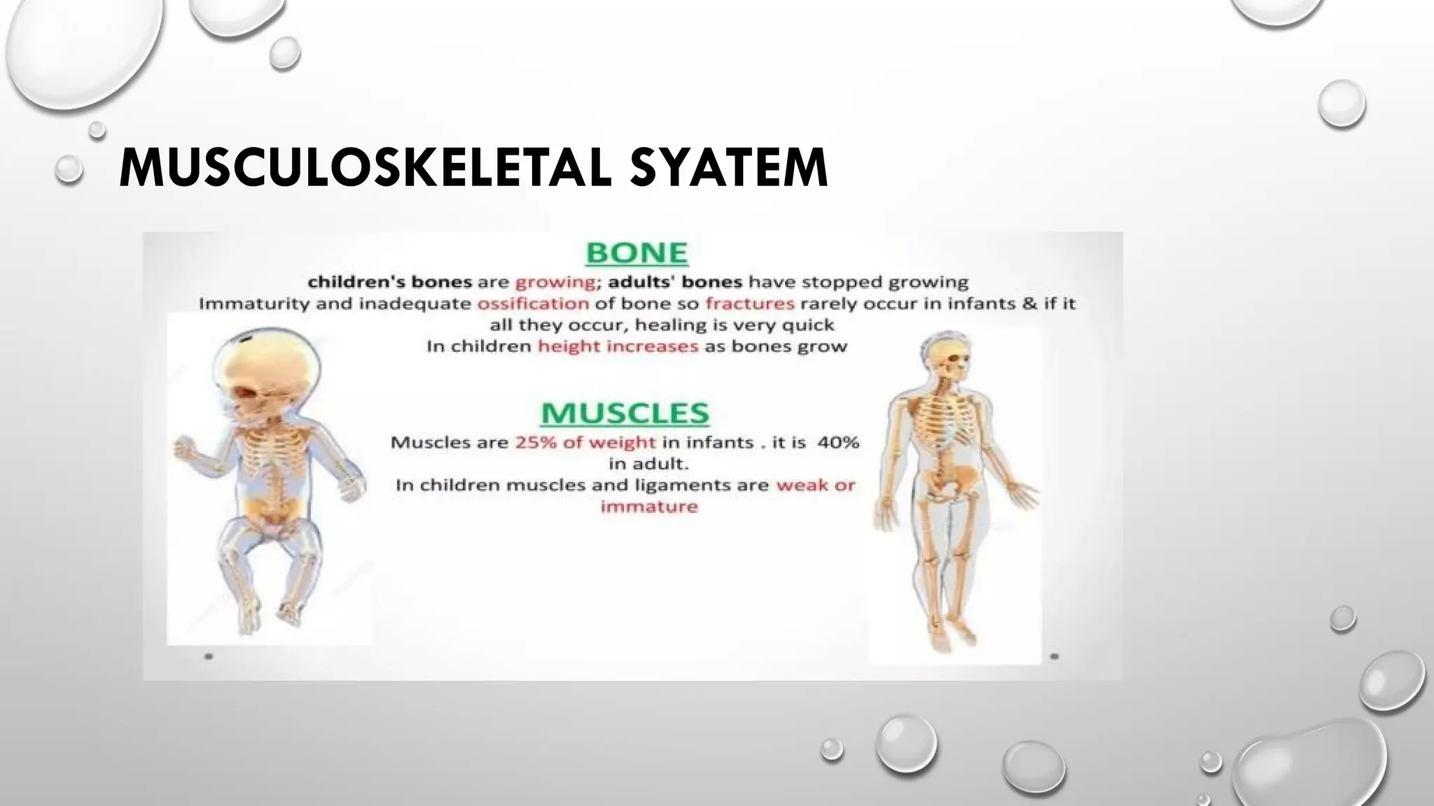 MUSCULOSKELETAL SYATEM
