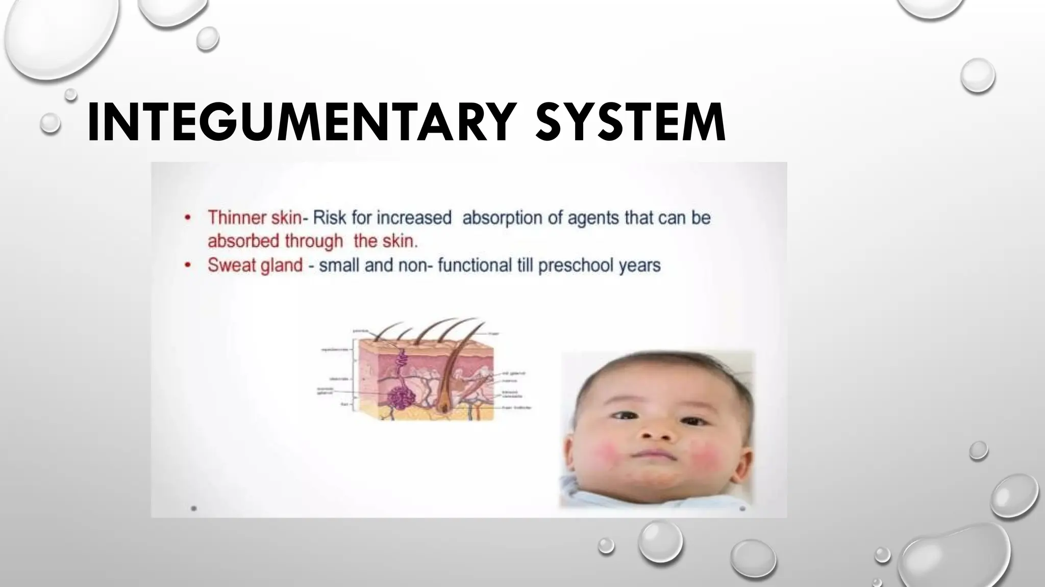 INTEGUMENTARY SYSTEM