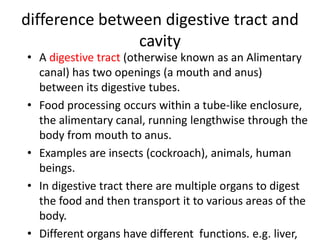 difference between digestive tract and
               cavity
• A digestive tract (otherwise known as an Alimentary
  canal) has two openings (a mouth and anus)
  between its digestive tubes.
• Food processing occurs within a tube-like enclosure,
  the alimentary canal, running lengthwise through the
  body from mouth to anus.
• Examples are insects (cockroach), animals, human
  beings.
• In digestive tract there are multiple organs to digest
  the food and then transport it to various areas of the
  body.
• Different organs have different functions. e.g. liver,
 