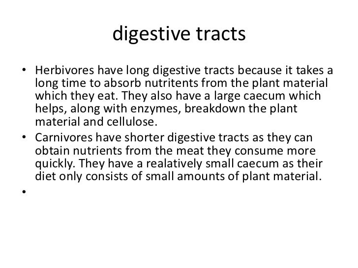 Difference between digestive tract of herbovores vs carnivores