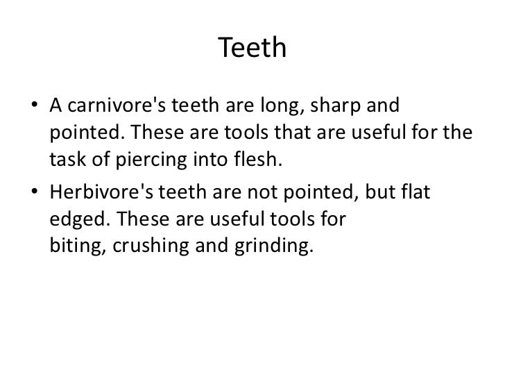 Difference between digestive tract of herbovores vs carnivores