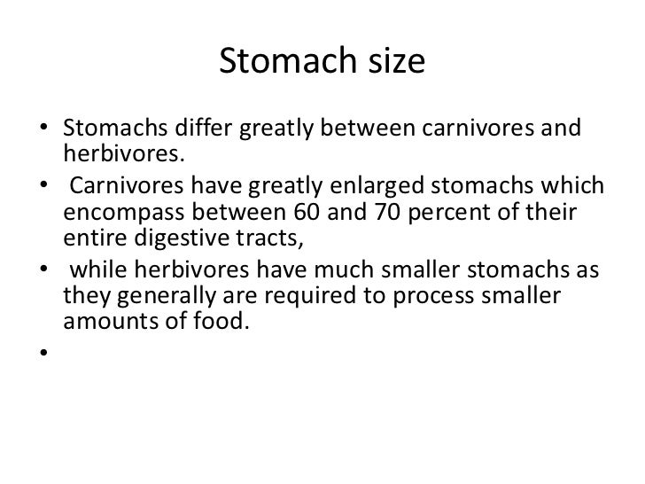 How big is the human stomach?