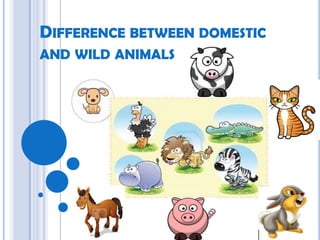 DIFFERENCE BETWEEN DOMESTIC
AND WILD ANIMALS
 