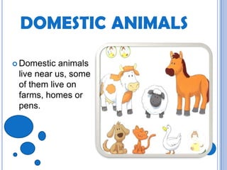Difference between domestic and wild animals | PPTX