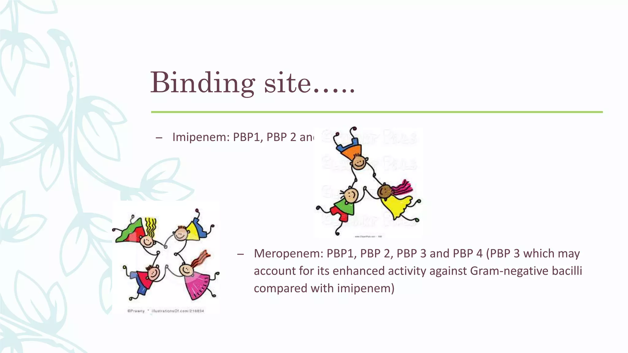 Binding site…..
– Imipenem: PBP1, PBP 2 and PBP 4
– Meropenem: PBP1, PBP 2, PBP 3 and PBP 4 (PBP 3 which may
account for its enhanced activity against Gram-negative bacilli
compared with imipenem)
 