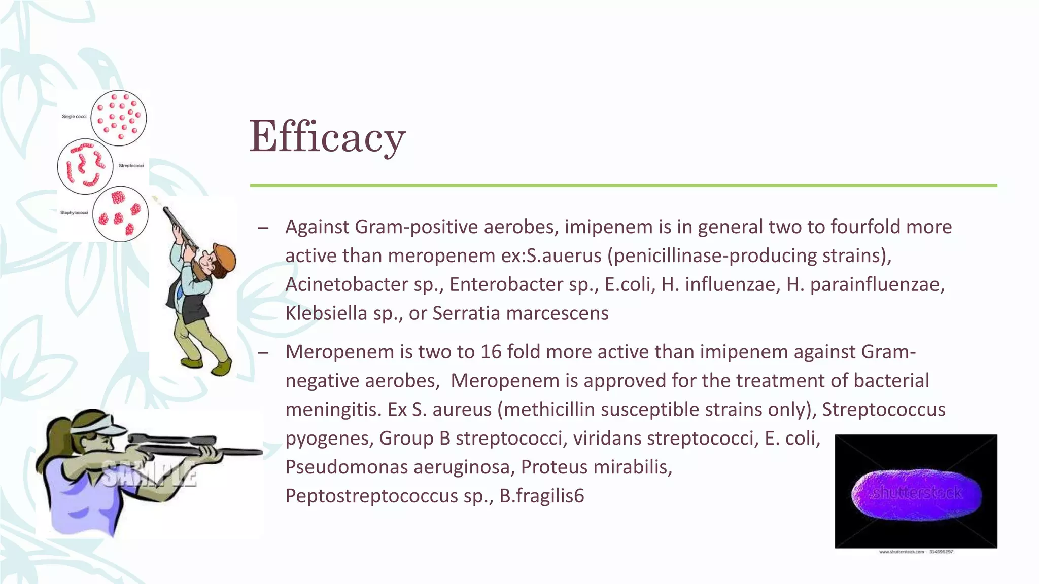 – Against Gram-positive aerobes, imipenem is in general two to fourfold more
active than meropenem ex:S.auerus (penicillinase-producing strains),
Acinetobacter sp., Enterobacter sp., E.coli, H. influenzae, H. parainfluenzae,
Klebsiella sp., or Serratia marcescens
– Meropenem is two to 16 fold more active than imipenem against Gram-
negative aerobes, Meropenem is approved for the treatment of bacterial
meningitis. Ex S. aureus (methicillin susceptible strains only), Streptococcus
pyogenes, Group B streptococci, viridans streptococci, E. coli,
Pseudomonas aeruginosa, Proteus mirabilis,
Peptostreptococcus sp., B.fragilis6
Efficacy
 