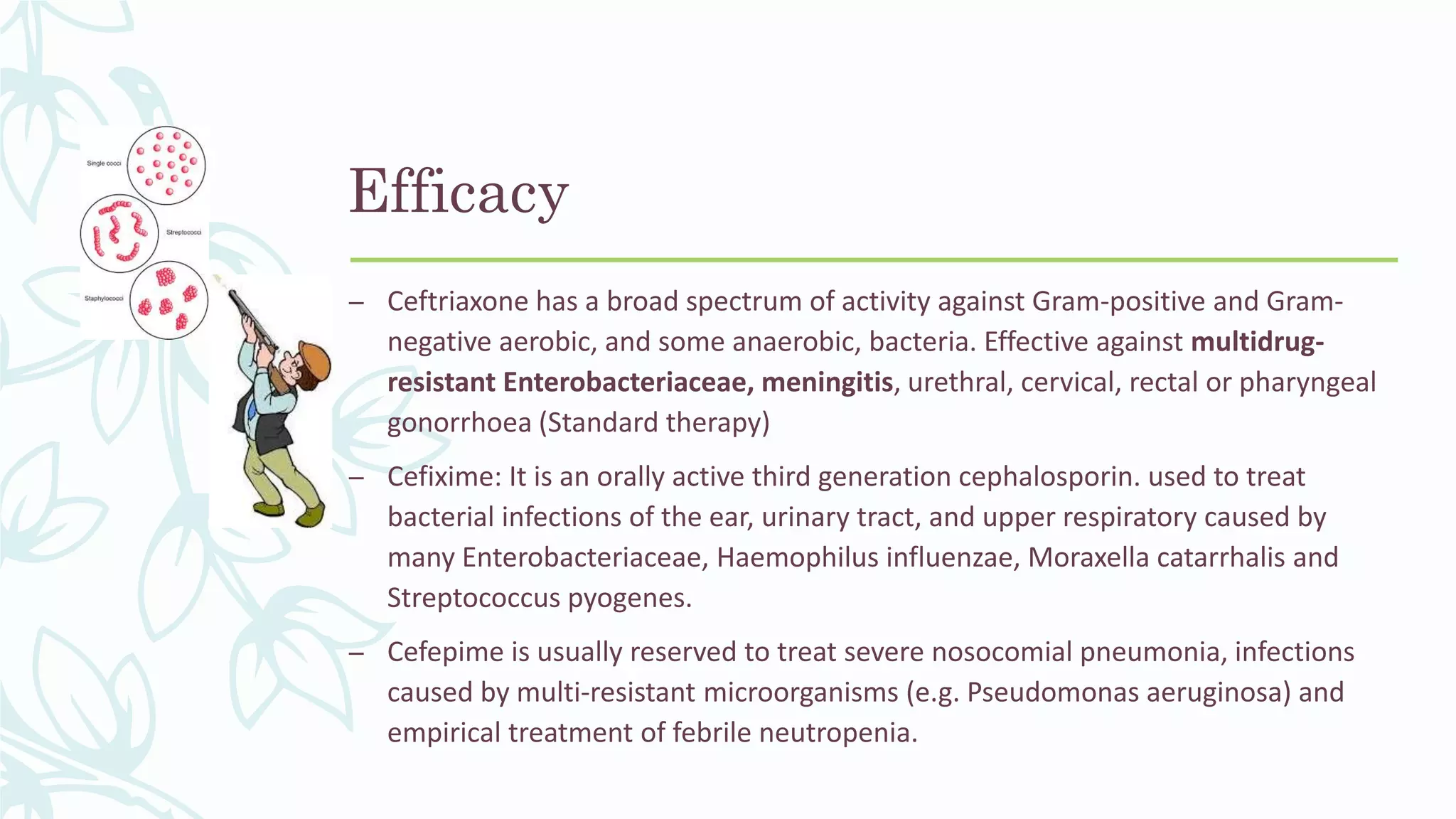 Efficacy
– Ceftriaxone has a broad spectrum of activity against Gram-positive and Gram-
negative aerobic, and some anaerobic, bacteria. Effective against multidrug-
resistant Enterobacteriaceae, meningitis, urethral, cervical, rectal or pharyngeal
gonorrhoea (Standard therapy)
– Cefixime: It is an orally active third generation cephalosporin. used to treat
bacterial infections of the ear, urinary tract, and upper respiratory caused by
many Enterobacteriaceae, Haemophilus influenzae, Moraxella catarrhalis and
Streptococcus pyogenes.
– Cefepime is usually reserved to treat severe nosocomial pneumonia, infections
caused by multi-resistant microorganisms (e.g. Pseudomonas aeruginosa) and
empirical treatment of febrile neutropenia.
 