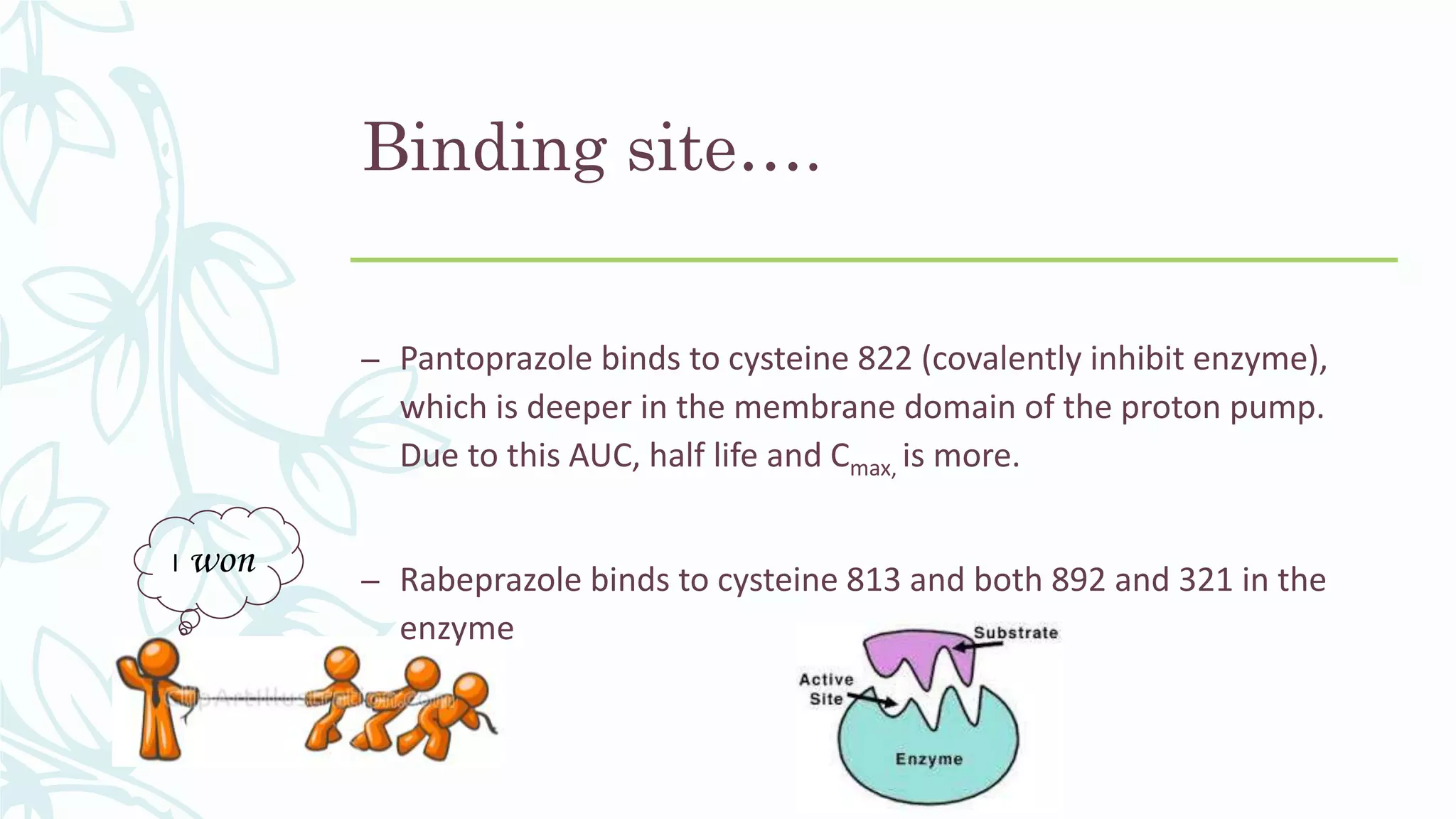I won
Binding site….
– Pantoprazole binds to cysteine 822 (covalently inhibit enzyme),
which is deeper in the membrane domain of the proton pump.
Due to this AUC, half life and Cmax, is more.
– Rabeprazole binds to cysteine 813 and both 892 and 321 in the
enzyme
 