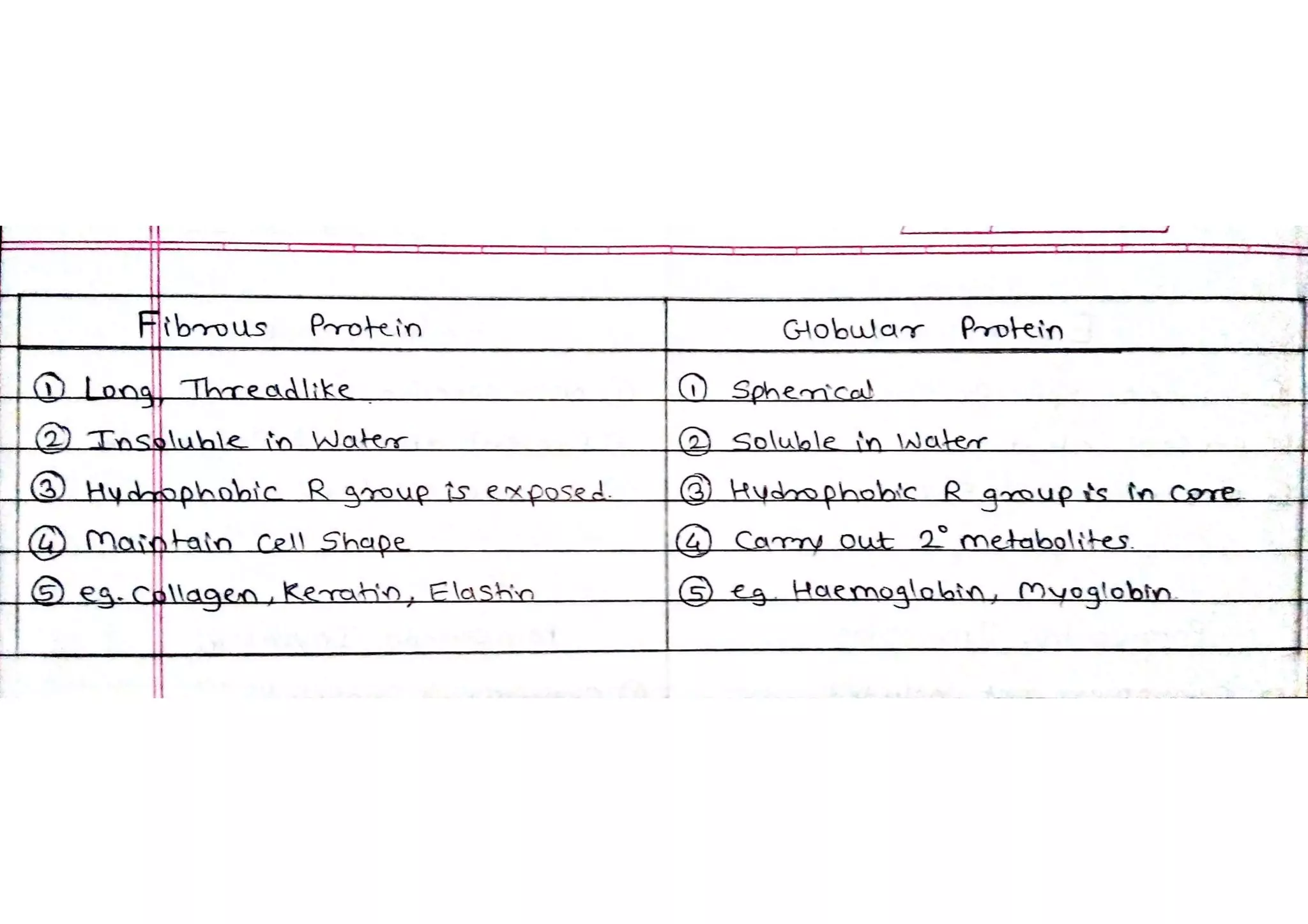 Difference between Fibrous Protein and Globular Protein | PDF