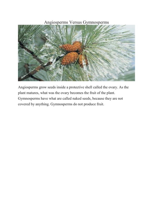 Difference between flowering & Non Flowering Plants PDF