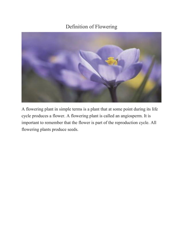 Difference between flowering & Non Flowering Plants
