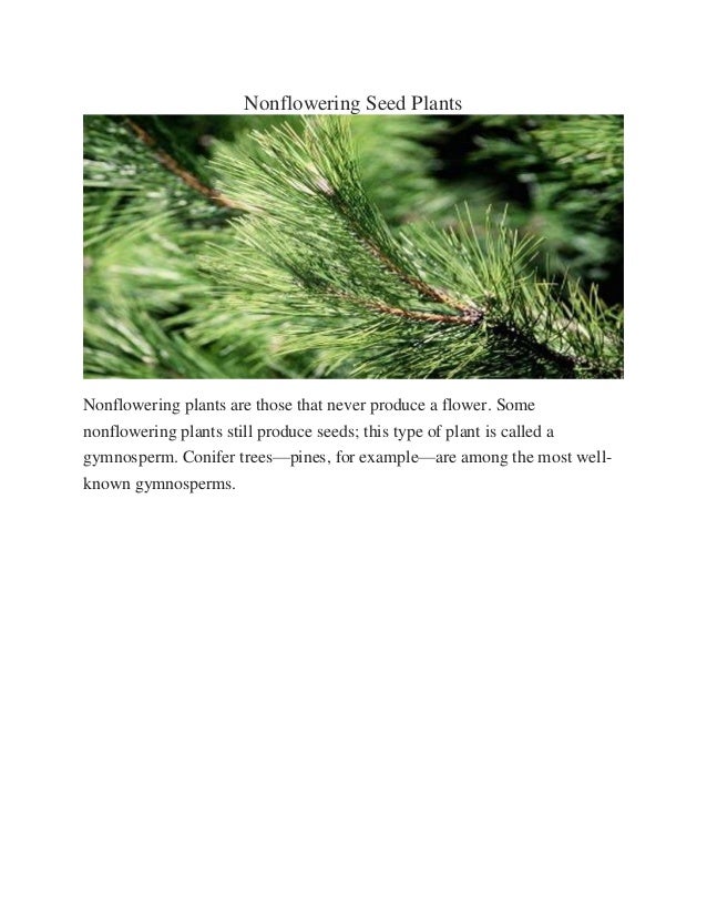 Difference between flowering & Non Flowering Plants