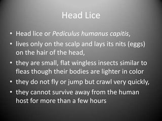 Head Lice
• Head lice or Pediculus humanus capitis,
• lives only on the scalp and lays its nits (eggs)
  on the hair of the head,
• they are small, flat wingless insects similar to
  fleas though their bodies are lighter in color
• they do not fly or jump but crawl very quickly,
• they cannot survive away from the human
  host for more than a few hours
 