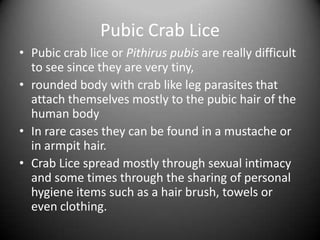 Pubic Crab Lice
• Pubic crab lice or Pithirus pubis are really difficult
  to see since they are very tiny,
• rounded body with crab like leg parasites that
  attach themselves mostly to the pubic hair of the
  human body
• In rare cases they can be found in a mustache or
  in armpit hair.
• Crab Lice spread mostly through sexual intimacy
  and some times through the sharing of personal
  hygiene items such as a hair brush, towels or
  even clothing.
 