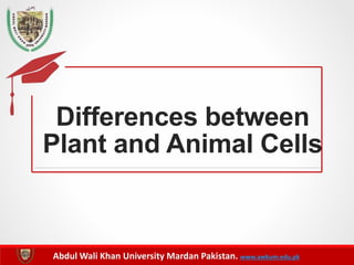 Abdul Wali Khan University Mardan Pakistan. www.awkum.edu.pk
Differences between
Plant and Animal Cells
 
