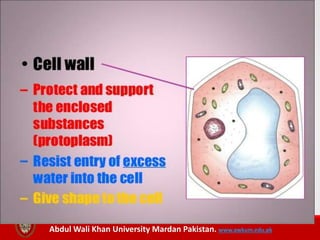 Abdul Wali Khan University Mardan Pakistan. www.awkum.edu.pk
 