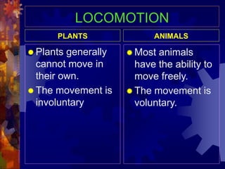 DIFFERENCE BETWEEN PLANTS AND ANIMALS.pptx