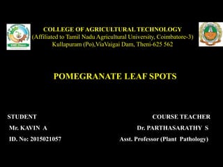 POMEGRANATE LEAF SPOTS
COLLEGE OF AGRICULTURAL TECHNOLOGY
(Affiliated to Tamil Nadu Agricultural University, Coimbatore-3)
Kullapuram (Po),ViaVaigai Dam, Theni-625 562
STUDENT
Mr. KAVIN A
ID. No: 2015021057
COURSE TEACHER
Dr. PARTHASARATHY S
Asst. Professor (Plant Pathology)
 