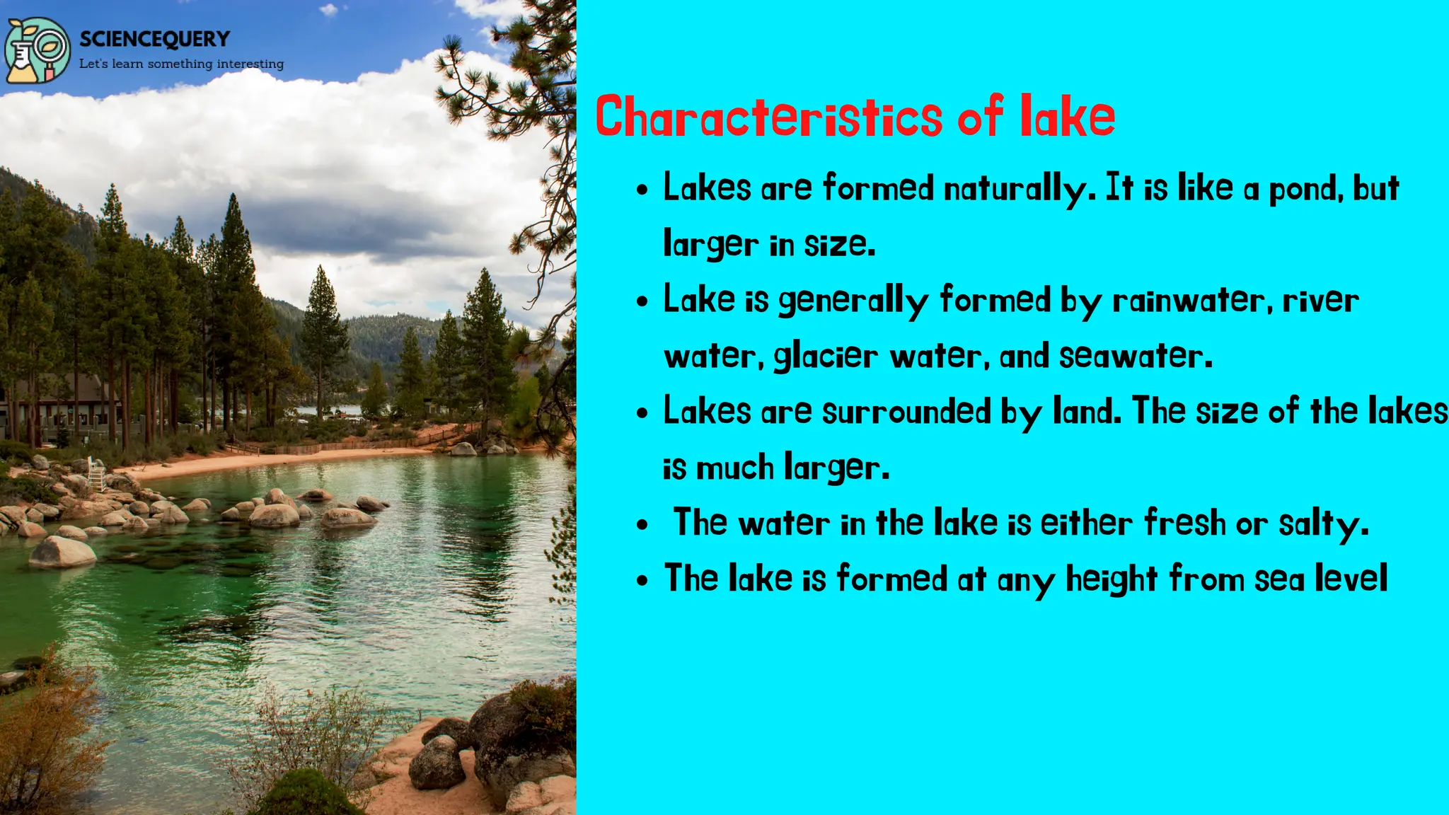 Difference between pond lake and river.pdf