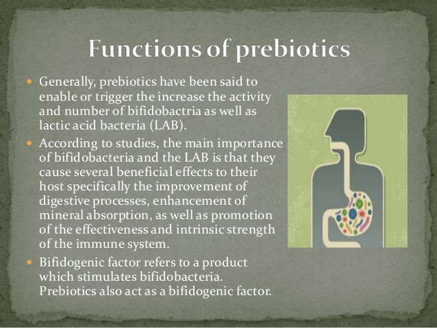 Difference Between Prebiotic and Probiotic