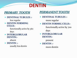 DENTIN
PRIMARY TOOTH PERMANENT TOOTH
 DENTINAL TUBULES :-
less regular
 DENTIN FORMING
CELLS:-
functionally active by 360
days
 INTERGLOBULAR
DENTIN:-
absent
 DENTIN :-
usually less dentin
 DENTINAL TUBULES :-
more regular
 DENTIN FORMIG CELLS:-
functionally active by 700
days
 INTERGLOBULAR
DENTIN:-
present
 DENTIN :-
more dentin
 