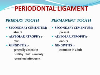 PERIODONTAL LIGAMENT
PRIMARY TOOTH PERMANENT TOOTH
 SECONDARY CEMENTUM:-
absent
 ALVEOLAR ATROPHY :-
rare
 GINGIVITIS :-
generally absent in
healthy child similarly
recession infrequent
 SECONDARY CEMENTUM:-
present
 ALVEOLAR ATROPHY:-
occurs
 GINGIVITIS :-
common in adult
 