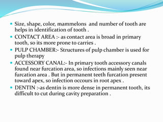  Size, shape, color, mammelons and number of tooth are
helps in identification of tooth .
 CONTACT AREA :- as contact area is broad in primary
tooth, so its more prone to carries .
 PULP CHAMBER:- Structures of pulp chamber is used for
pulp therapy
 ACCESSORY CANAL:- In primary tooth accessory canals
found near furcation area, so infections mainly seen near
furcation area . But in permanent teeth furcation present
toward apex, so infection occours in root apex .
 DENTIN :-as dentin is more dense in permanent tooth, its
difficult to cut during cavity preparation .
 