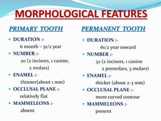 MORPHOLOGICAL FEATURES
PRIMARY TOOTH PERMANENT TOOTH
 DURATION :-
6 month – 51/2 year
 NUMBER :-
20 (2 incisors, 1 canine,
2 molars)
 ENAMEL :-
thinner(about 1 mm)
 OCCLUSAL PLANE :-
relatively flat
 MAMMELEONS :-
absent
 DURATION :-
61/2 year onward
 NUMBER :-
32 (2 incisors, 1 canine
2 premolars, 3 molars)
 ENAMEL :-
thicker (about 2-3 mm)
 OCCLUSAL PLANE :-
more curved contour
 MAMMELEONS ;-
present
 
