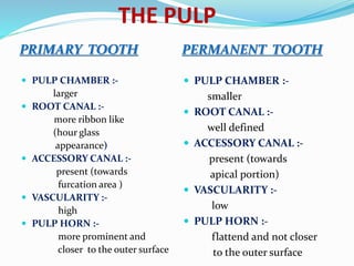 THE PULP
PRIMARY TOOTH PERMANENT TOOTH
 PULP CHAMBER :-
larger
 ROOT CANAL :-
more ribbon like
(hour glass
appearance)
 ACCESSORY CANAL :-
present (towards
furcation area )
 VASCULARITY :-
high
 PULP HORN :-
more prominent and
closer to the outer surface
 PULP CHAMBER :-
smaller
 ROOT CANAL :-
well defined
 ACCESSORY CANAL :-
present (towards
apical portion)
 VASCULARITY :-
low
 PULP HORN :-
flattend and not closer
to the outer surface
 