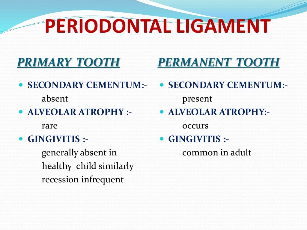 Difference between primary and permanent dentition