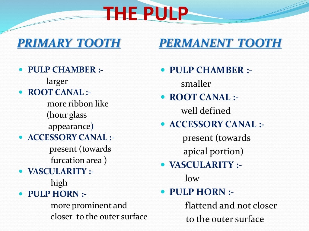 Difference between primary and permanent dentition